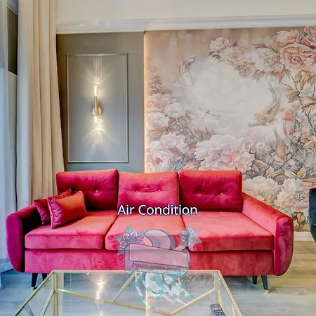 Nova L-elite Szczecin