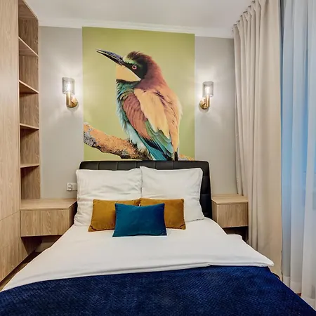 Nova L-elite Szczecin