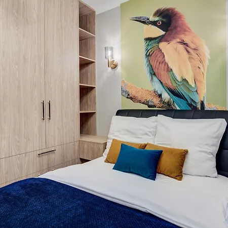 Nova L-elite Stettin