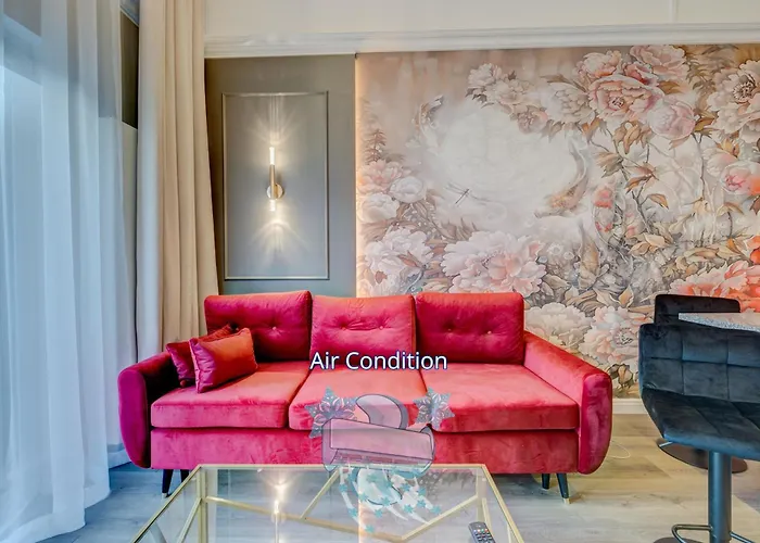 Nova L-elite Szczecin