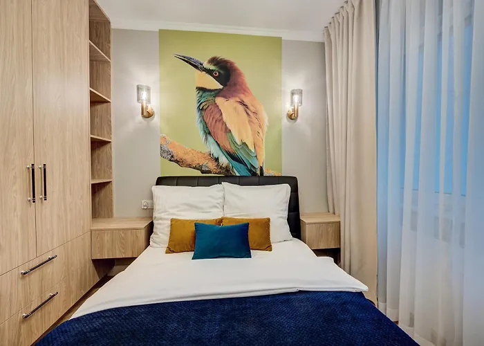 Nova L-elite Szczecin