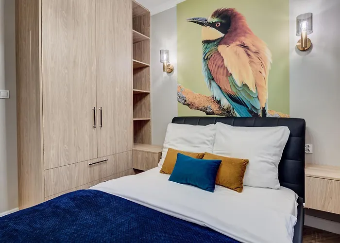 Nova L-elite Szczecin